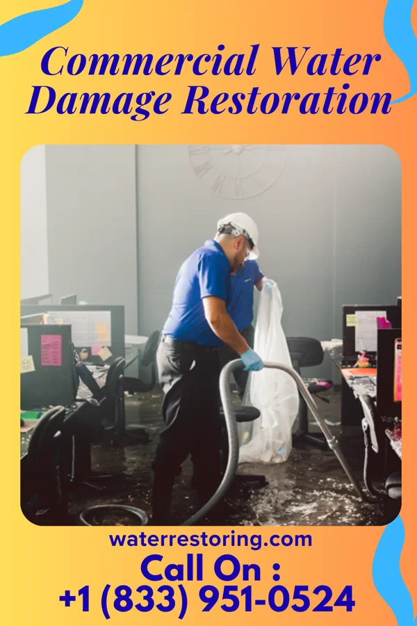 Commercial Water Damage Restoration in Altona, IL